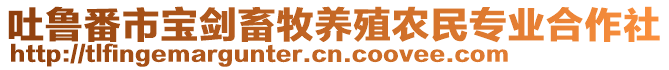 吐魯番市寶劍畜牧養(yǎng)殖農(nóng)民專業(yè)合作社