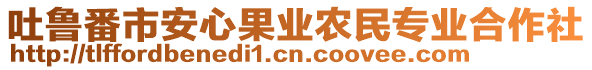 吐魯番市安心果業(yè)農(nóng)民專業(yè)合作社