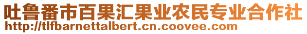 吐魯番市百果匯果業(yè)農(nóng)民專業(yè)合作社