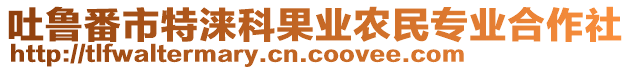 吐魯番市特淶科果業(yè)農(nóng)民專業(yè)合作社