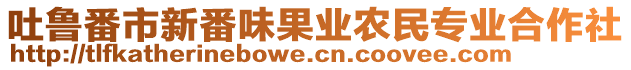 吐魯番市新番味果業(yè)農(nóng)民專業(yè)合作社