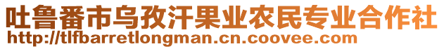 吐魯番市烏孜汗果業(yè)農(nóng)民專業(yè)合作社