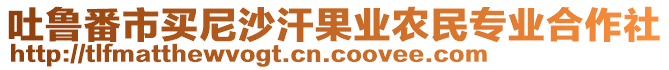 吐魯番市買尼沙汗果業(yè)農(nóng)民專業(yè)合作社