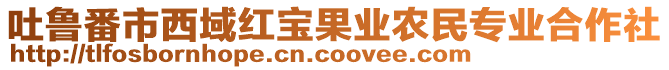 吐魯番市西域紅寶果業(yè)農(nóng)民專業(yè)合作社