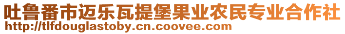 吐魯番市邁樂瓦提堡果業(yè)農(nóng)民專業(yè)合作社