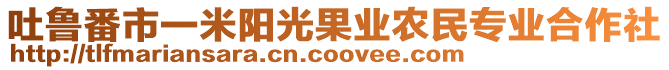 吐魯番市一米陽光果業(yè)農(nóng)民專業(yè)合作社