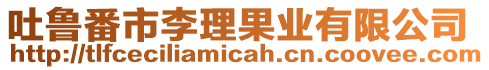 吐魯番市李理果業(yè)有限公司