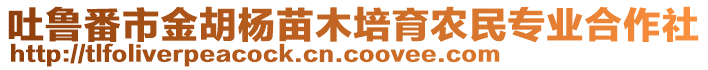 吐魯番市金胡楊苗木培育農(nóng)民專業(yè)合作社