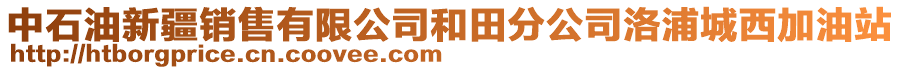 中石油新疆销售有限公司和田分公司洛浦城西加油站