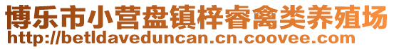 博乐市小营盘镇梓睿禽类养殖场