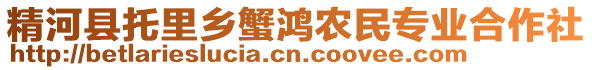 精河縣托里鄉(xiāng)蟹鴻農(nóng)民專業(yè)合作社