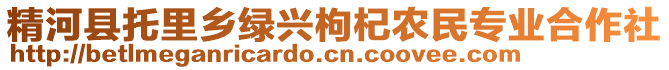 精河县托里乡绿兴枸杞农民专业合作社