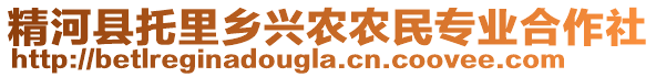 精河縣托里鄉(xiāng)興農(nóng)農(nóng)民專業(yè)合作社