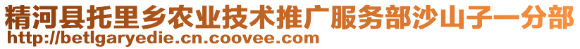 精河縣托里鄉(xiāng)農(nóng)業(yè)技術(shù)推廣服務(wù)部沙山子一分部