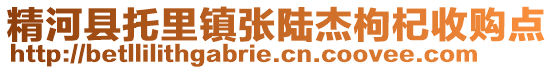 精河縣托里鎮(zhèn)張陸杰枸杞收購點