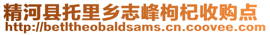 精河县托里乡志峰枸杞收购点