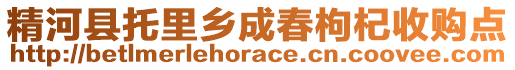 精河縣托里鄉(xiāng)成春枸杞收購點(diǎn)