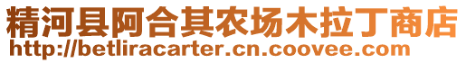 精河縣阿合其農(nóng)場木拉丁商店