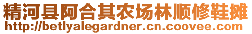 精河縣阿合其農(nóng)場林順修鞋攤