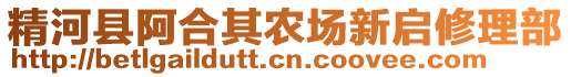 精河县阿合其农场新启修理部