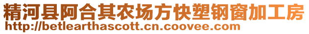 精河縣阿合其農(nóng)場方快塑鋼窗加工房