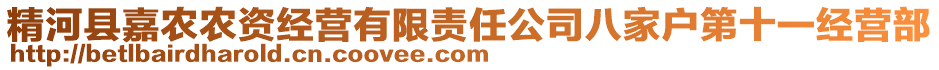 精河县嘉农农资经营有限责任公司八家户第十一经营部