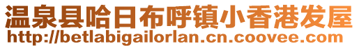 温泉县哈日布呼镇小香港发屋