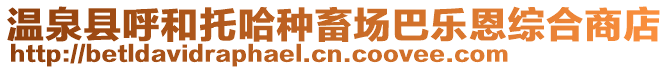 溫泉縣呼和托哈種畜場巴樂恩綜合商店