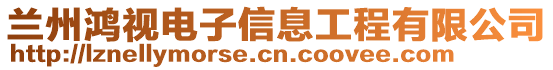 蘭州鴻視電子信息工程有限公司