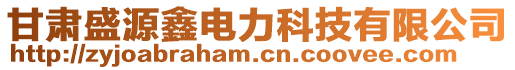 甘肅盛源鑫電力科技有限公司