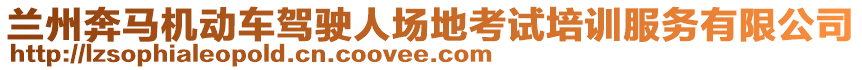 蘭州奔馬機(jī)動(dòng)車(chē)駕駛?cè)藞?chǎng)地考試培訓(xùn)服務(wù)有限公司