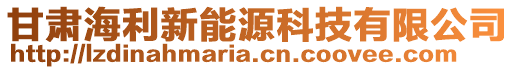 甘肅海利新能源科技有限公司