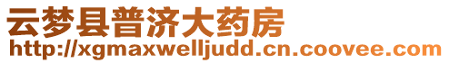 云夢(mèng)縣普濟(jì)大藥房