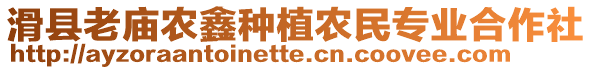 滑縣老廟農(nóng)鑫種植農(nóng)民專(zhuān)業(yè)合作社