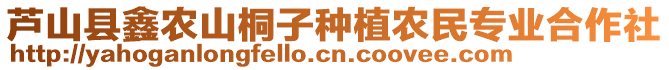 蘆山縣鑫農(nóng)山桐子種植農(nóng)民專業(yè)合作社