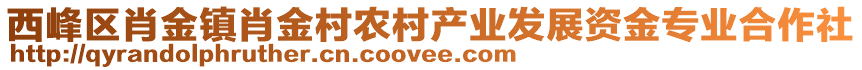 西峰區(qū)肖金鎮(zhèn)肖金村農(nóng)村產(chǎn)業(yè)發(fā)展資金專業(yè)合作社