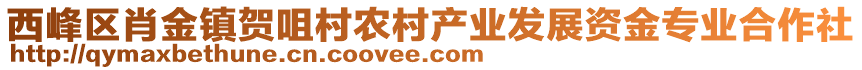 西峰區(qū)肖金鎮(zhèn)賀咀村農(nóng)村產(chǎn)業(yè)發(fā)展資金專業(yè)合作社