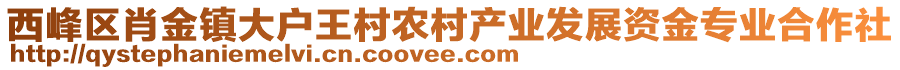 西峰區(qū)肖金鎮(zhèn)大戶王村農(nóng)村產(chǎn)業(yè)發(fā)展資金專業(yè)合作社