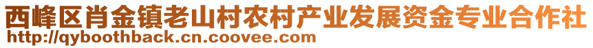 西峰區(qū)肖金鎮(zhèn)老山村農(nóng)村產(chǎn)業(yè)發(fā)展資金專業(yè)合作社