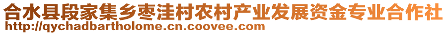 合水縣段家集鄉(xiāng)棗洼村農(nóng)村產(chǎn)業(yè)發(fā)展資金專業(yè)合作社