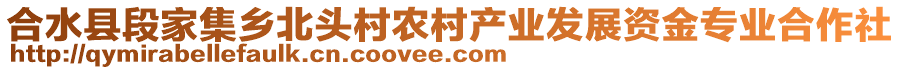 合水縣段家集鄉(xiāng)北頭村農(nóng)村產(chǎn)業(yè)發(fā)展資金專(zhuān)業(yè)合作社