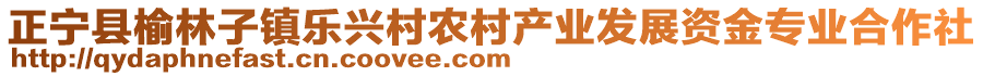 正寧縣榆林子鎮(zhèn)樂興村農(nóng)村產(chǎn)業(yè)發(fā)展資金專業(yè)合作社