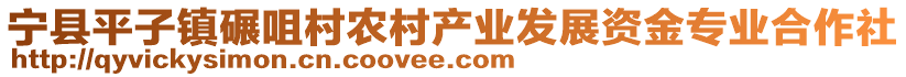 寧縣平子鎮(zhèn)碾咀村農(nóng)村產(chǎn)業(yè)發(fā)展資金專(zhuān)業(yè)合作社