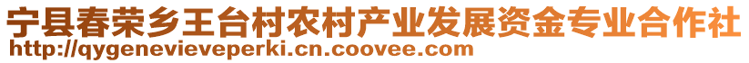 寧縣春榮鄉(xiāng)王臺(tái)村農(nóng)村產(chǎn)業(yè)發(fā)展資金專業(yè)合作社