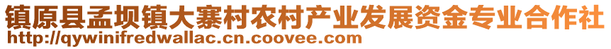 鎮(zhèn)原縣孟壩鎮(zhèn)大寨村農(nóng)村產(chǎn)業(yè)發(fā)展資金專業(yè)合作社