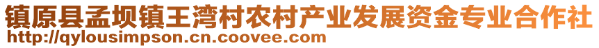 鎮(zhèn)原縣孟壩鎮(zhèn)王灣村農(nóng)村產(chǎn)業(yè)發(fā)展資金專業(yè)合作社