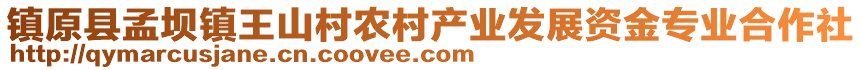 鎮(zhèn)原縣孟壩鎮(zhèn)王山村農(nóng)村產(chǎn)業(yè)發(fā)展資金專業(yè)合作社