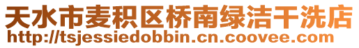 天水市麦积区桥南绿洁干洗店