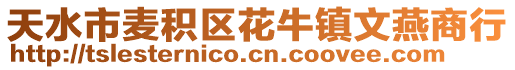 天水市麥積區(qū)花牛鎮(zhèn)文燕商行