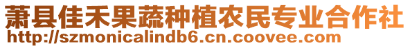 蕭縣佳禾果蔬種植農(nóng)民專業(yè)合作社